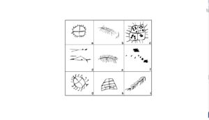 نقشهای غار تنگ تیهویی