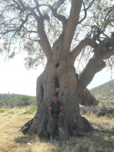 به باقرخانی