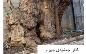 کنار جمشیری 1