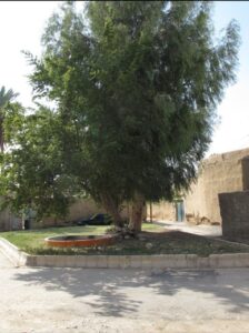 کنار ملاجواد